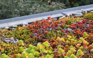 the cost of Bay View green roof installation