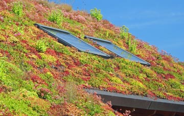Bay View living roof systems